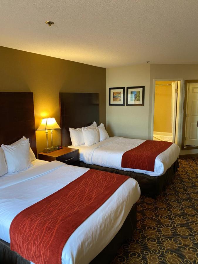 Comfort Inn Rockland - Boston Exterior photo